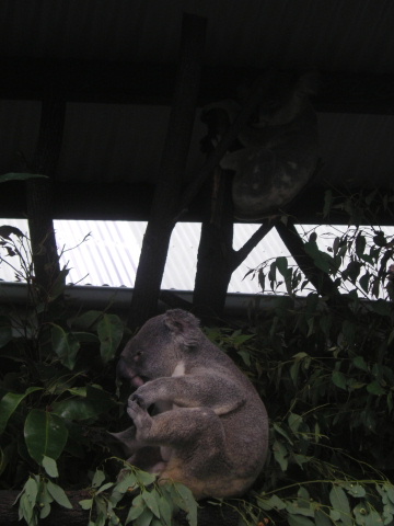 s_A_PICT0080.jpg
